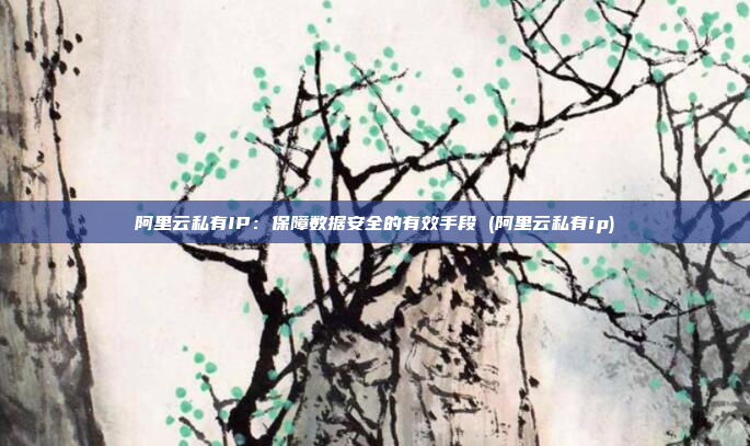 阿里云私有IP：保障数据安全的有效手段 (阿里云私有ip)