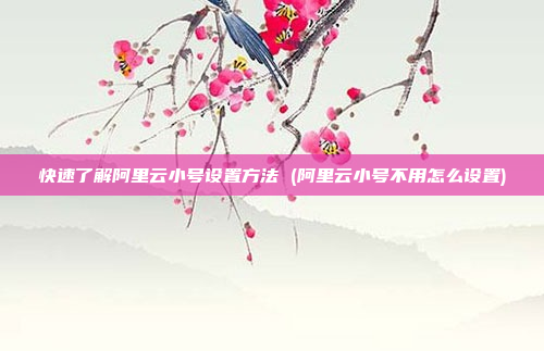 快速了解阿里云小号设置方法 (阿里云小号不用怎么设置)