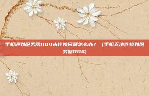 手机遇到服务器1104未连接问题怎么办? (手机无法连接到服务器1104)