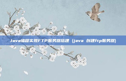 Java编程实现FTP服务器搭建 (java 创建ftp服务器)