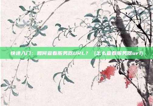 快速入门:如何查看服务器URL? (怎么查看服务器url)