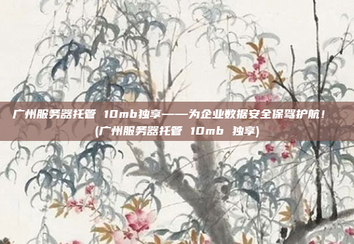 广州服务器托管 10mb独享——为企业数据安全保驾护航! (广州服务器托管 10mb 独享)