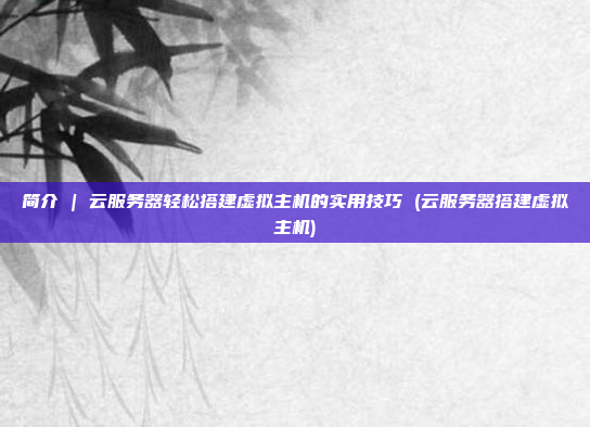 简介 | 云服务器轻松搭建虚拟主机的实用技巧 (云服务器搭建虚拟主机)