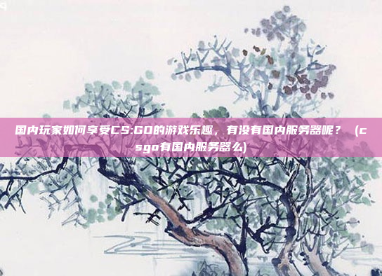 国内玩家如何享受CS:GO的游戏乐趣,有没有国内服务器呢? (csgo有国内服务器么)