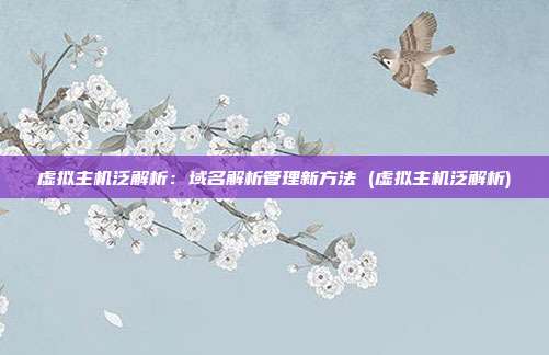 虚拟主机泛解析：域名解析管理新方法 (虚拟主机泛解析)