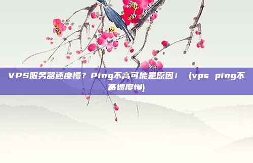VPS服务器速度慢?Ping不高可能是原因! (vps ping不高速度慢)