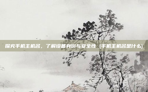 探究手机主机名,了解设备身份与安全性 (手机主机名是什么)