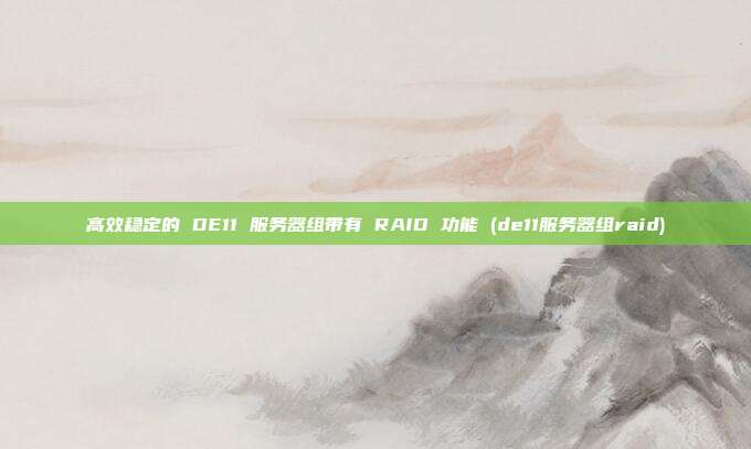 高效稳定的 DE11 服务器组带有 RAID 功能 (de11服务器组raid)