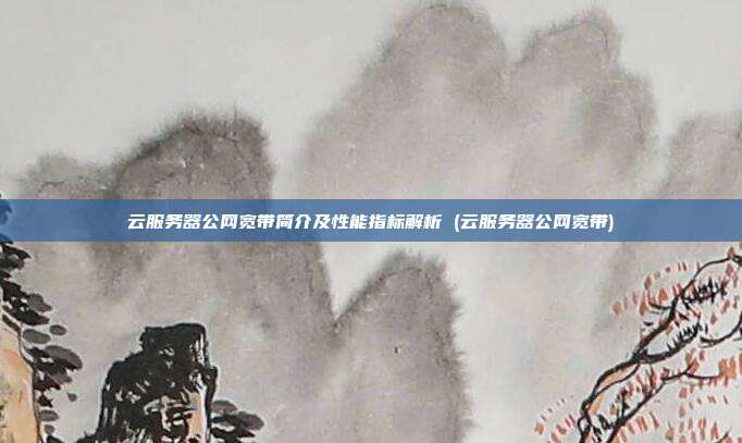 云服务器公网宽带简介及性能指标解析 (云服务器公网宽带)