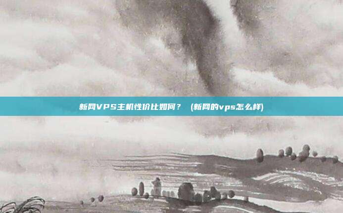 新网VPS主机性价比如何? (新网的vps怎么样)