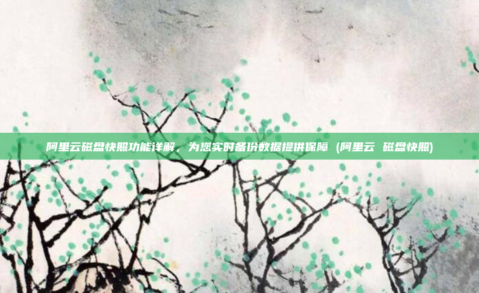 阿里云磁盘快照功能详解,为您实时备份数据提供保障 (阿里云 磁盘快照)