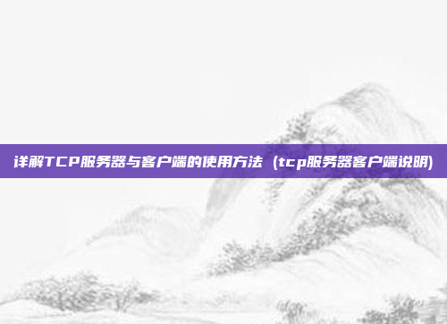 详解TCP服务器与客户端的使用方法 (tcp服务器客户端说明)