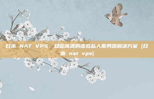 日本 NAT VPS:稳定高速的虚拟私人服务器解决方案 (日本 nat vps)
