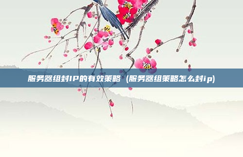 服务器组封IP的有效策略 (服务器组策略怎么封ip)