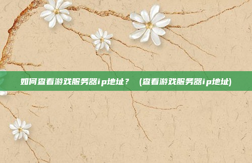 如何查看游戏服务器ip地址? (查看游戏服务器ip地址)