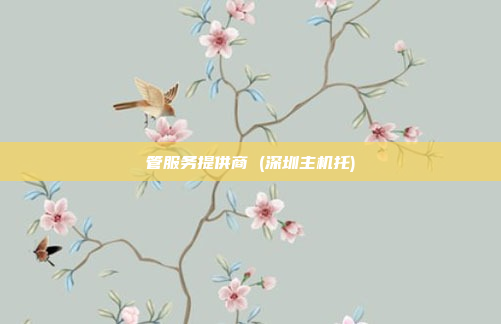 管服务提供商 (深圳主机托)