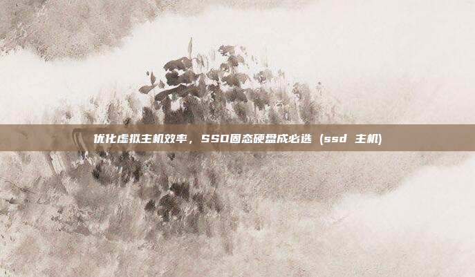 优化虚拟主机效率,SSD固态硬盘成必选 (ssd 主机)