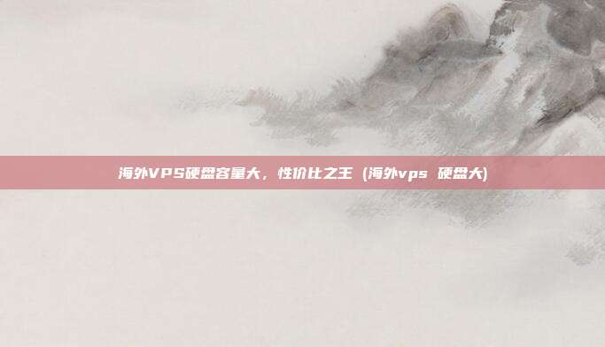 海外VPS硬盘容量大,性价比之王 (海外vps 硬盘大)