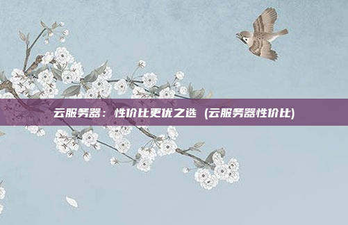 云服务器:性价比更优之选 (云服务器性价比)