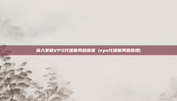 深入掌握VPS代理服务器原理 (vps代理服务器原理)