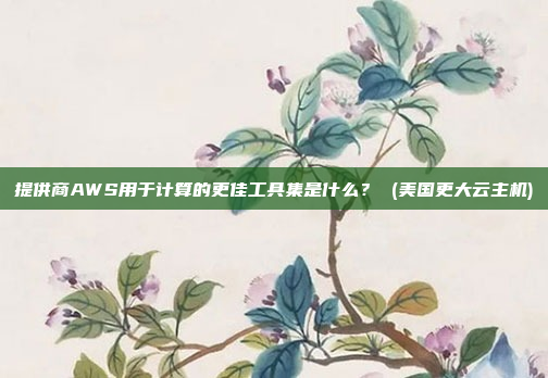 提供商AWS用于计算的更佳工具集是什么? (美国更大云主机)