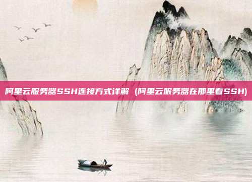 阿里云服务器SSH连接方式详解 (阿里云服务器在那里看SSH)