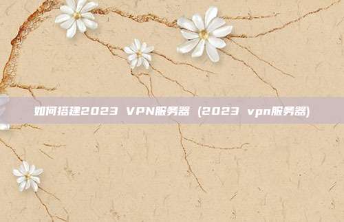 如何搭建2023 VPN服务器 (2023 vpn服务器)