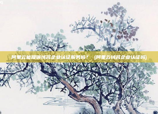 阿里云能提供域名企业认证服务吗? (阿里云域名企业认证吗)