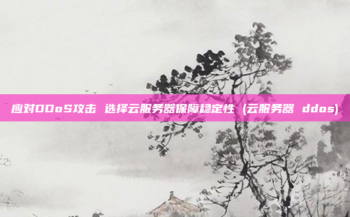 应对DDoS攻击 选择云服务器保障稳定性 (云服务器 ddos)