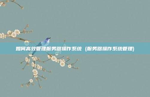 如何高效管理服务器操作系统 (服务器操作系统管理)