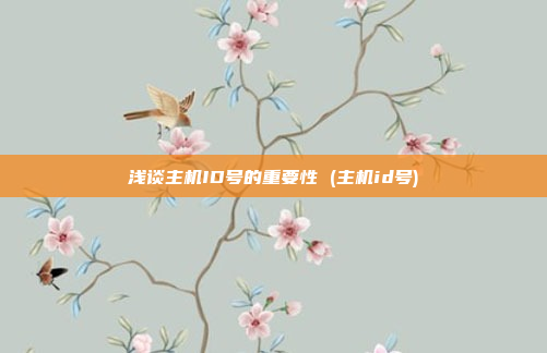 浅谈主机ID号的重要性 (主机id号)