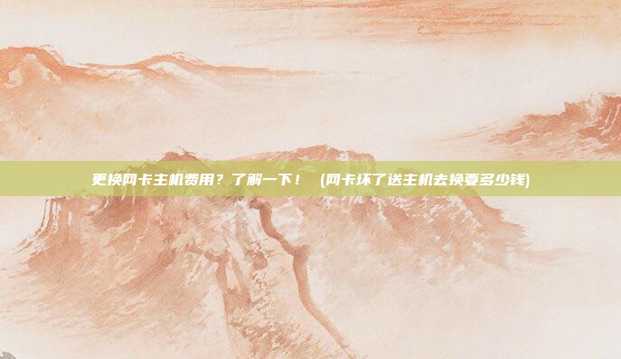 更换网卡主机费用?了解一下! (网卡坏了送主机去换要多少钱)