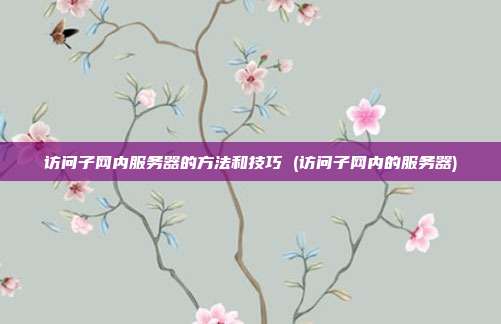 访问子网内服务器的方法和技巧 (访问子网内的服务器)