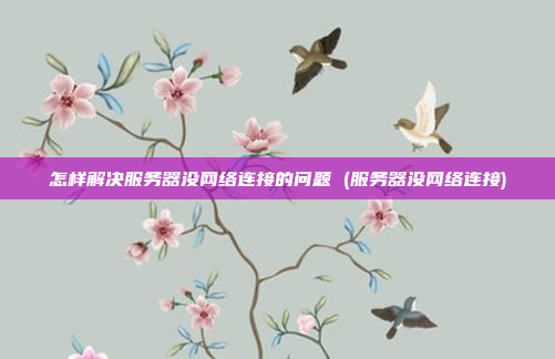 怎样解决服务器没网络连接的问题 (服务器没网络连接)