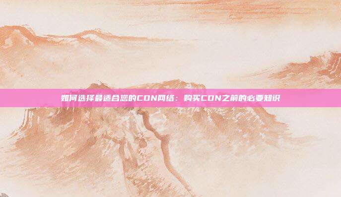 如何选择最适合您的CDN网络:购买CDN之前的必要知识