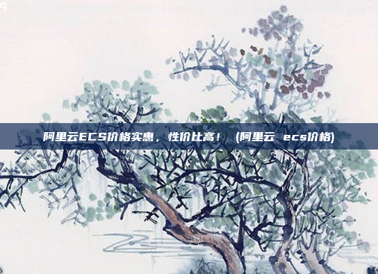 阿里云ECS价格实惠,性价比高! (阿里云 ecs价格)