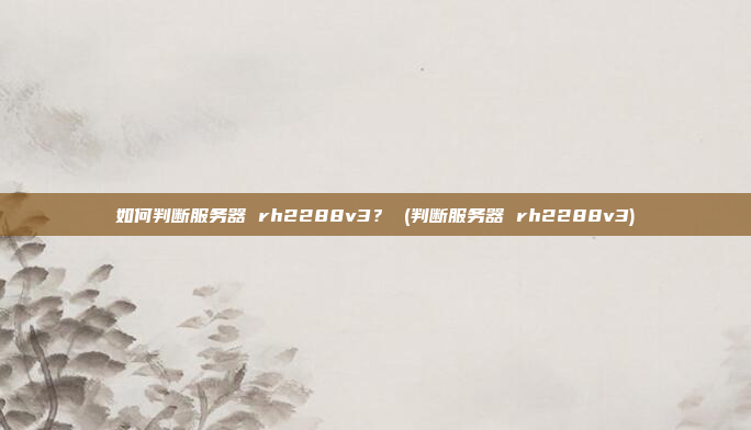 如何判断服务器 rh2288v3? (判断服务器 rh2288v3)