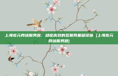 上海宽元网络服务器:稳定高效的互联网基础设施 (上海宽元网络服务器)