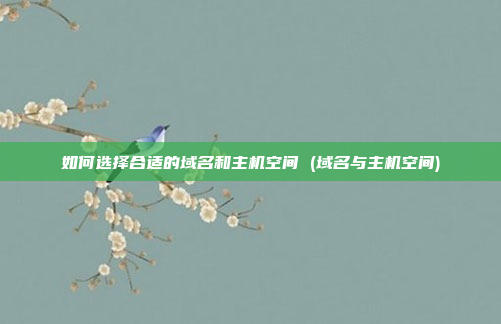 如何选择合适的域名和主机空间 (域名与主机空间)