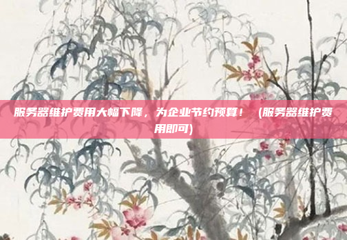 服务器维护费用大幅下降,为企业节约预算! (服务器维护费用即可)
