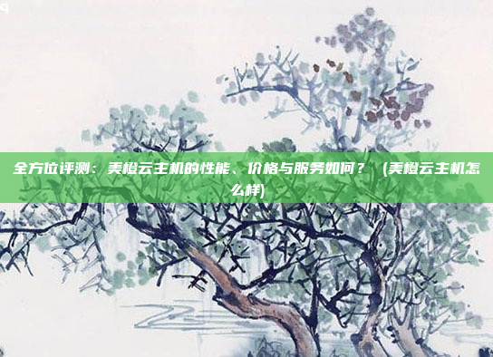 全方位评测:美橙云主机的性能、价格与服务如何? (美橙云主机怎么样)