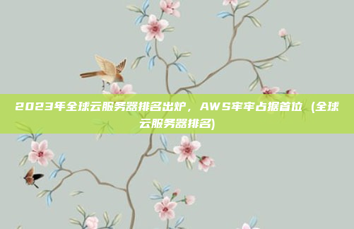 2023年全球云服务器排名出炉,AWS牢牢占据首位 (全球云服务器排名)