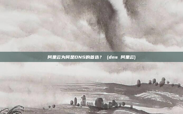 阿里云为何是DNS的首选? (dns 阿里云)