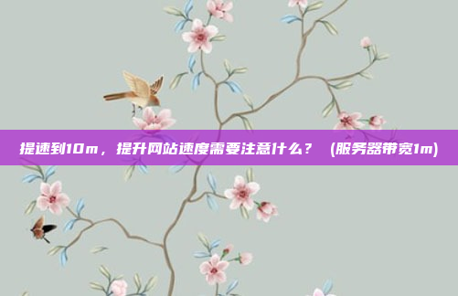 提速到10m,提升网站速度需要注意什么? (服务器带宽1m)
