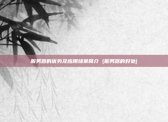 服务器的优势及应用场景简介 (服务器的好处)