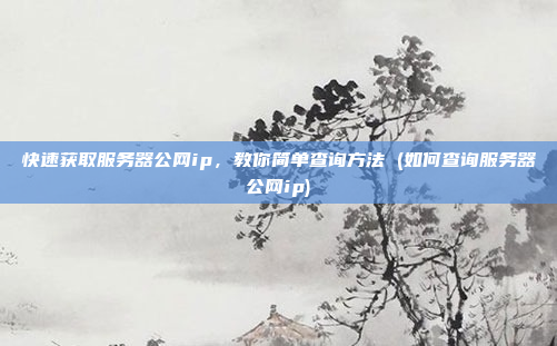 快速获取服务器公网ip,教你简单查询方法 (如何查询服务器公网ip)