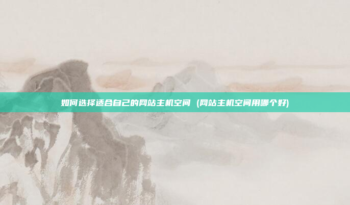 如何选择适合自己的网站主机空间 (网站主机空间用哪个好)