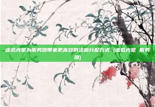 虚拟光驱为服务器带来更高效的资源分配方式 (虚拟光驱 服务器)