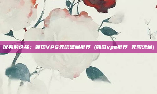 优秀的选择:韩国VPS无限流量推荐 (韩国vps推荐 无限流量)