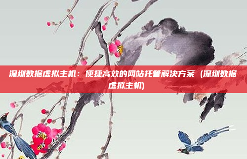 深圳数据虚拟主机:便捷高效的网站托管解决方案 (深圳数据 虚拟主机)